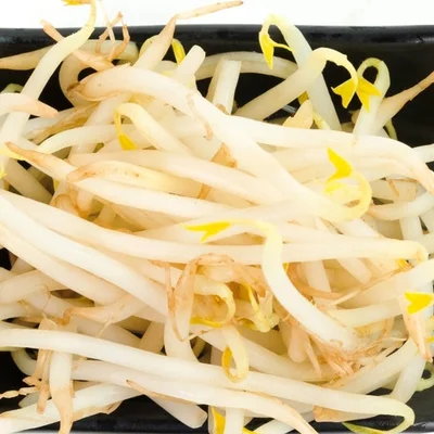 Moyashi