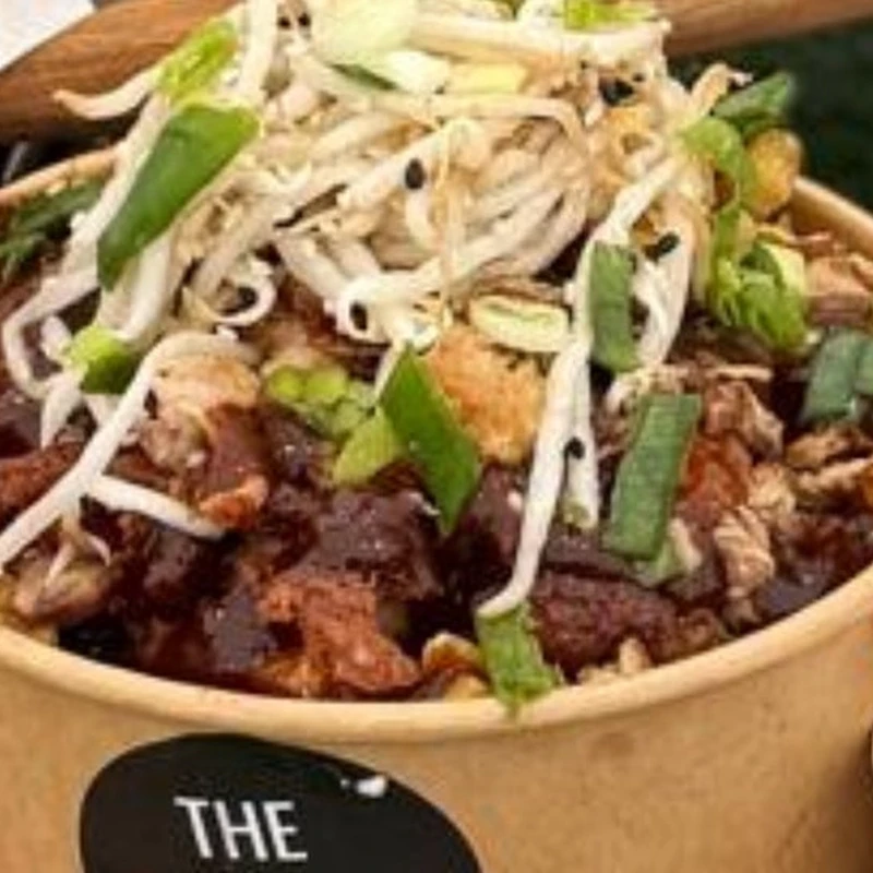 Duck Loaded Fries