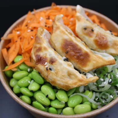 Vegetarian Gyoza Salad Bowl