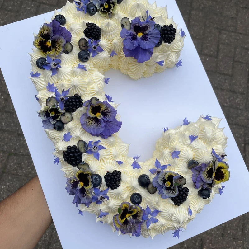 Number or Letter Celebration Cake