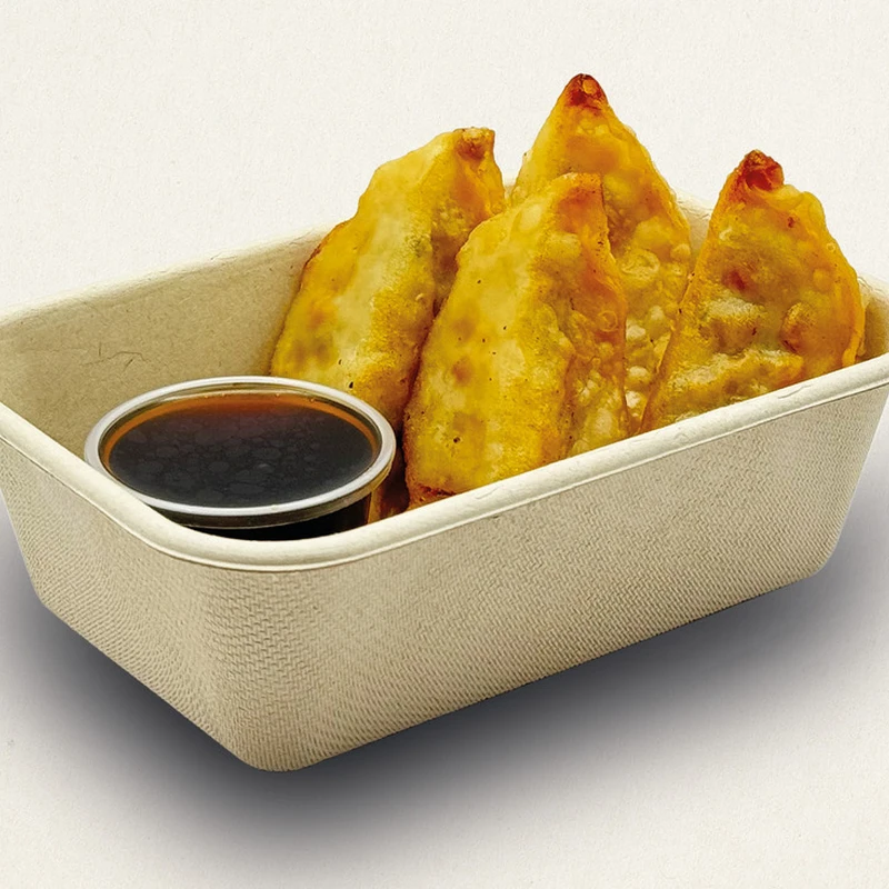 Chicken Gyoza
