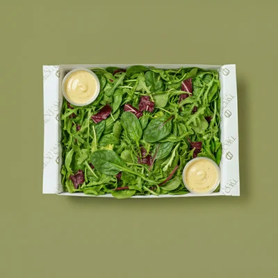 Mixed leaf salad & vinaigrette dressing
