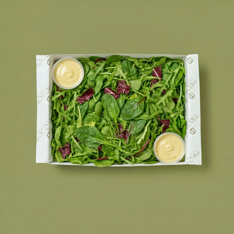 Mixed leaf salad & vinaigrette dressing