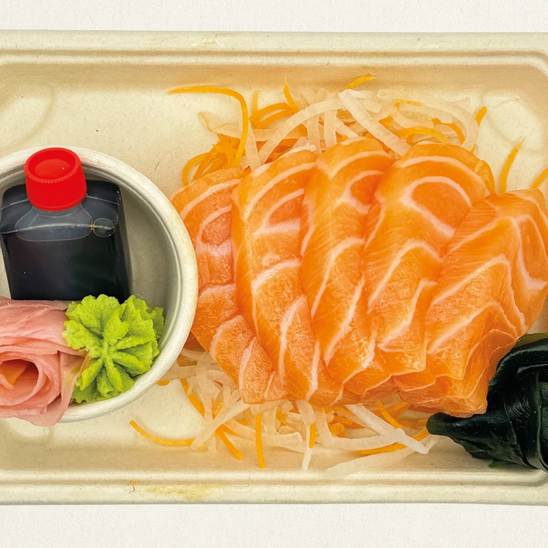Salmon Sashimi